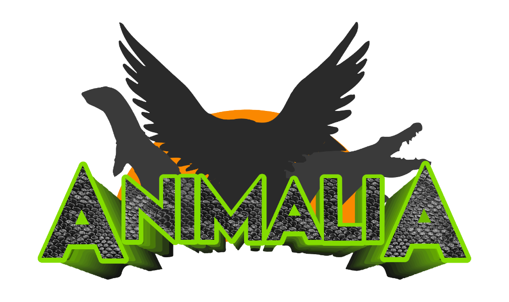 Animalia
