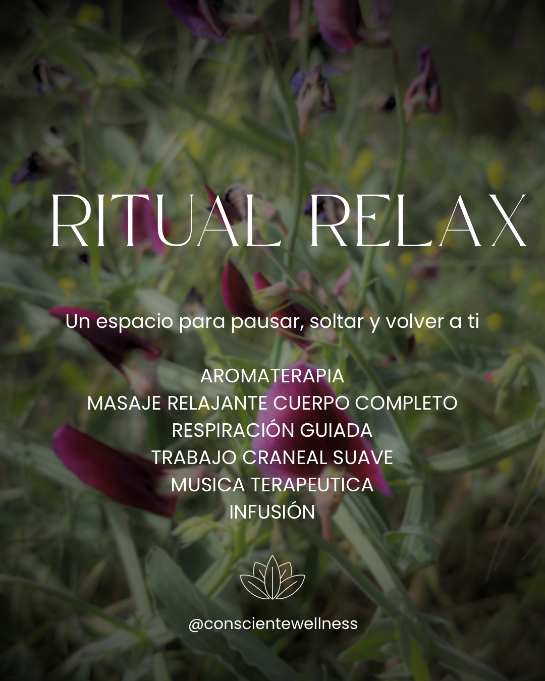✨ Ritual Relax
