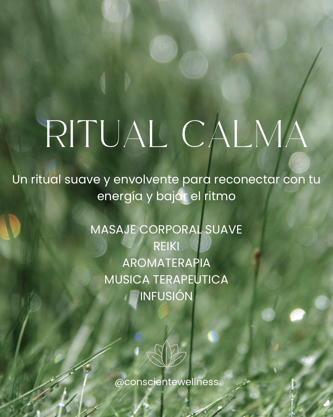 🌿 Ritual Calma