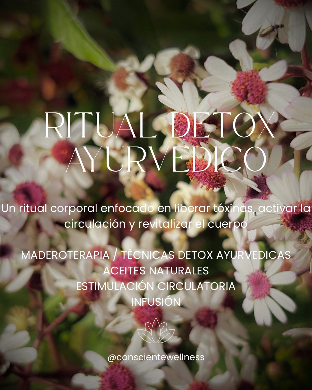 Ritual Detox Ayurvédico