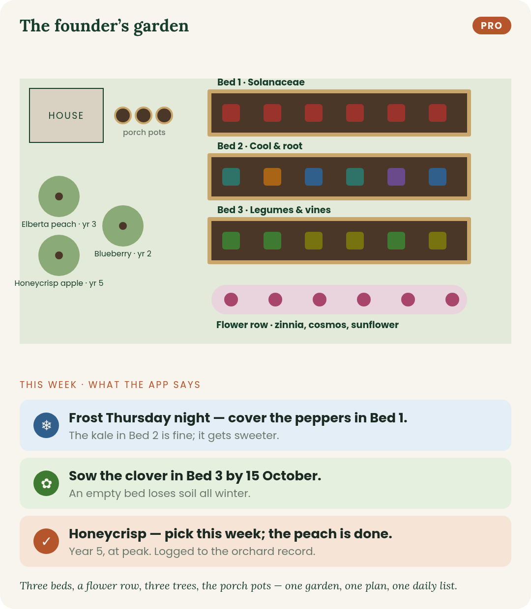 The founder's garden, to scale