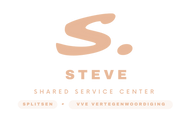 Steve logo
