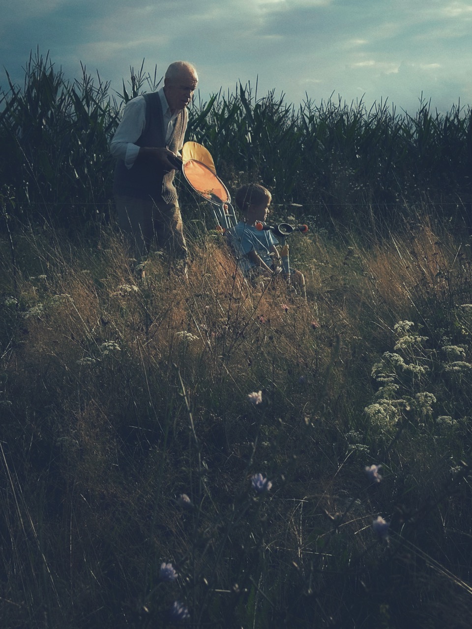Untitled