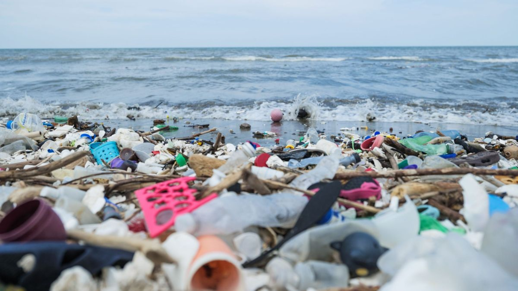 Polluted beach