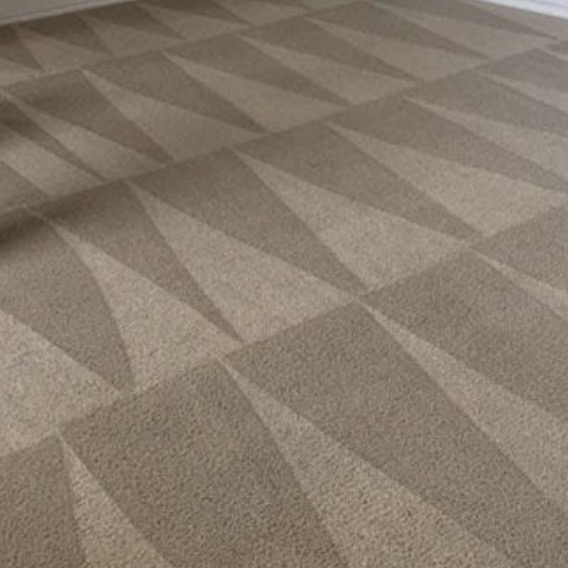 After professional residential carpet restoration — Tactical Carpet Cleaning Long Island NY