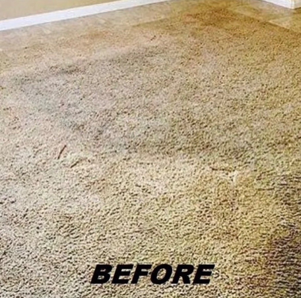 Before deep soil & stain removal — Tactical Carpet Cleaning Long Island NY