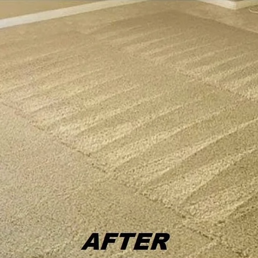 After professional deep soil & stain removal — Tactical Carpet Cleaning Long Island NY
