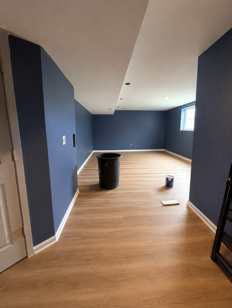 Basement Finishing — Open Room