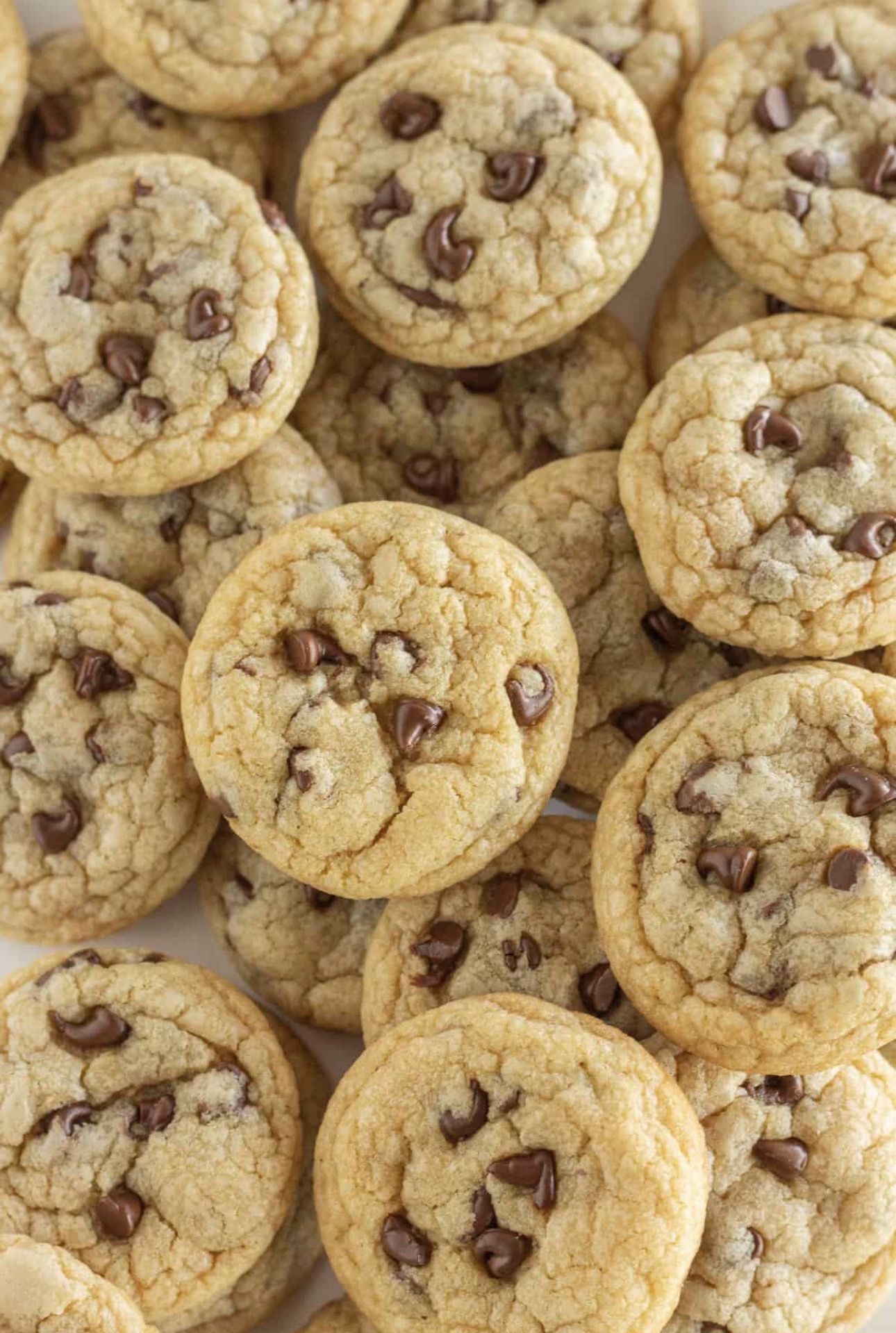 Mini Chocolate Chip Cookies
