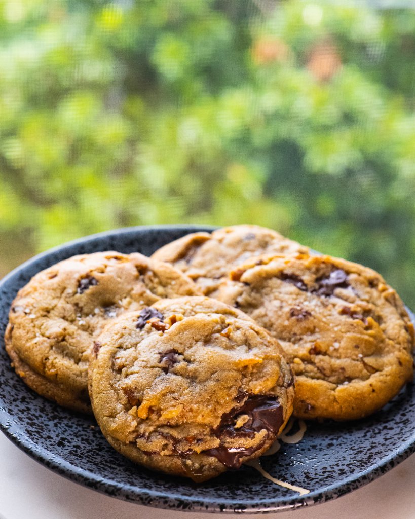 Scenic Chocolate Chip