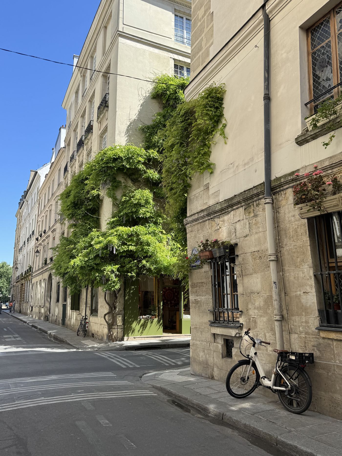 A quiet corner on Rue Le Regrattier, with wisteria climbing a building facade