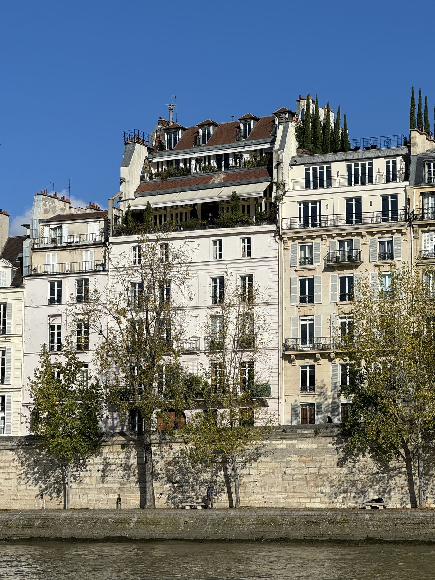 A grand building on Île Saint-Louis with an extensive rooftop terrace and garden