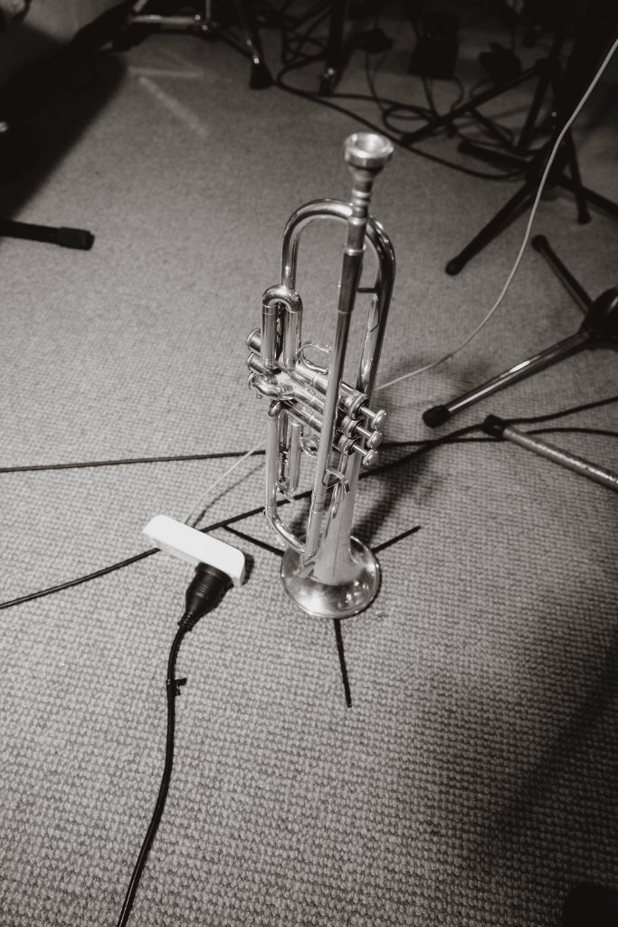 Trumpet