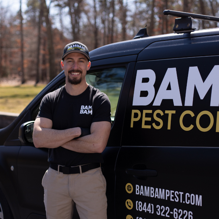 Bam Bam Pest Control