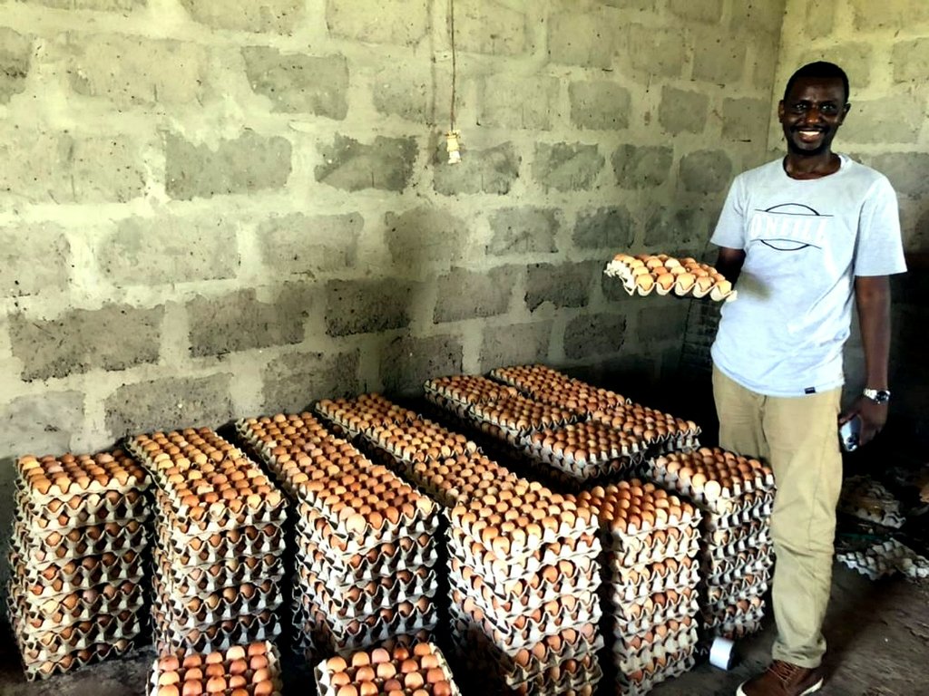 Daily egg production at Talleh Poultry Farm Sierra Leone