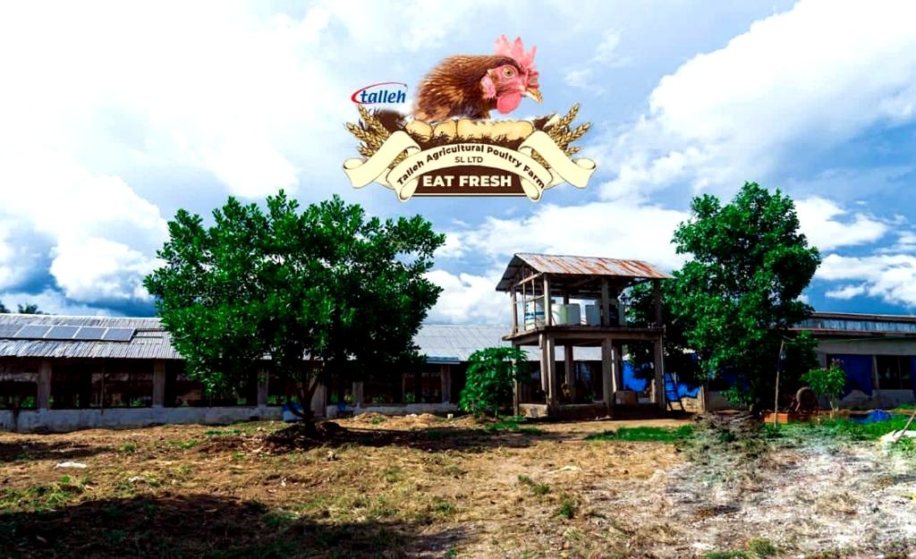 Talleh Agricultural Poultry Farm front view in Freetown Sierra Leone