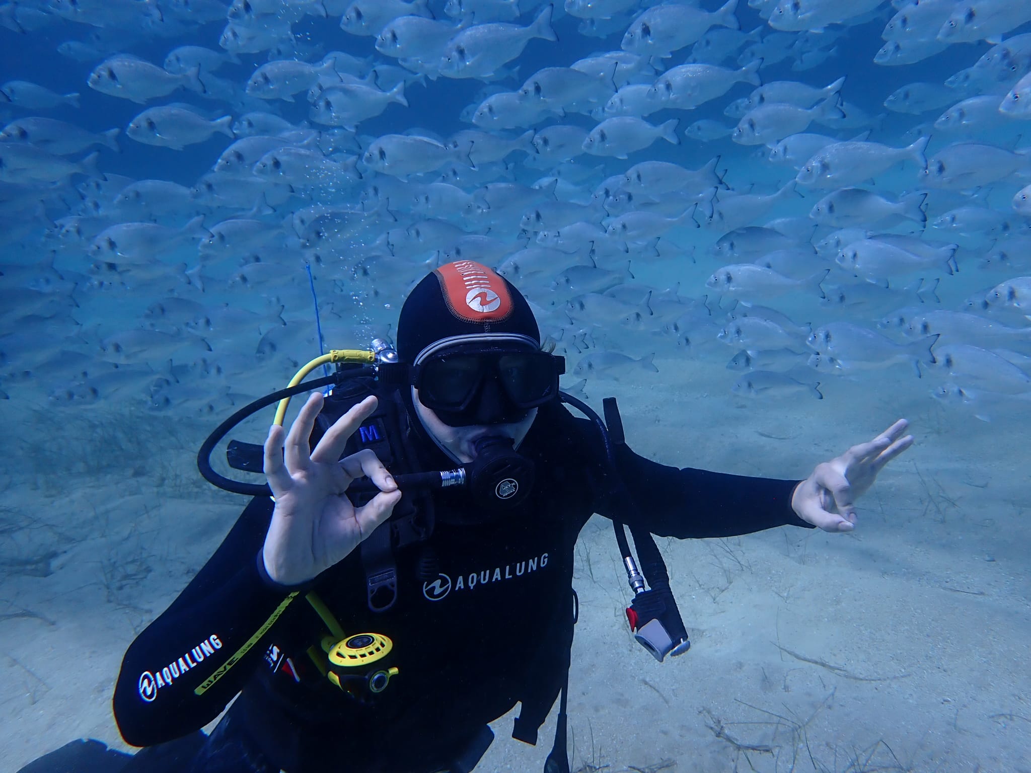 Professional scuba diving equipment