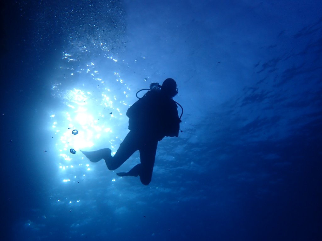 Accompanied Diving
