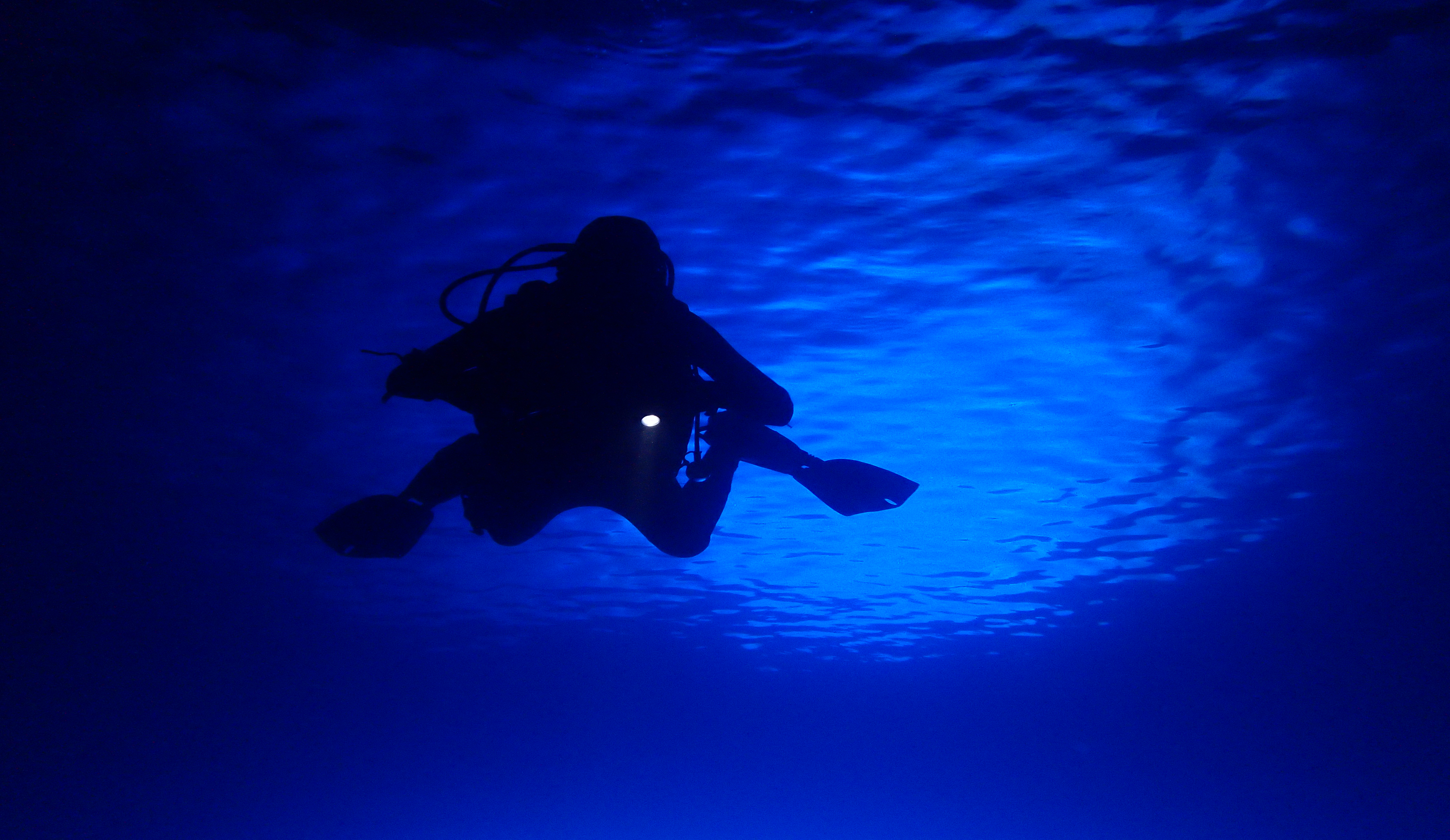 Dive photo 2