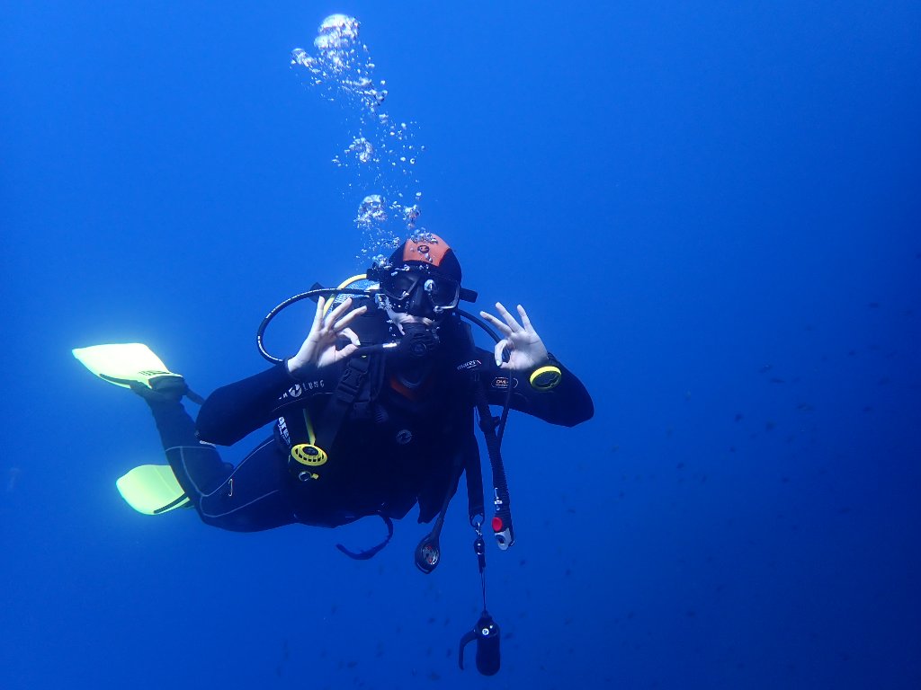 Beginner Dives