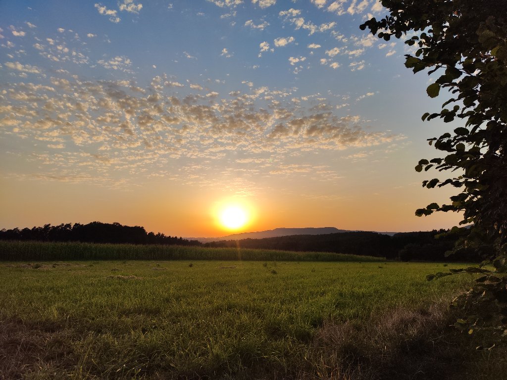 Forchheim und der Wildpark – Fränkische Lebensart und schlafende Stachelschweine