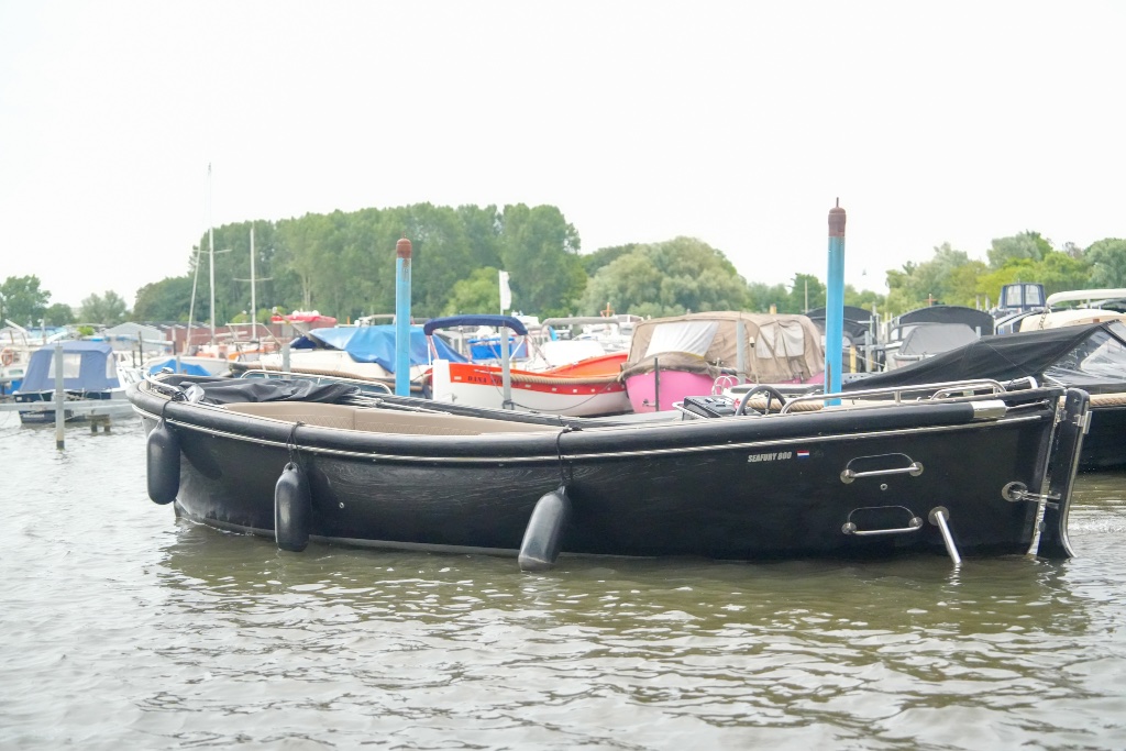 Seafury 800