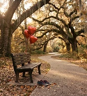 The Acadiana Heart Walk Returns to Moncus Park on Nov. 14