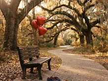 The Acadiana Heart Walk Returns to Moncus Park on Nov. 14