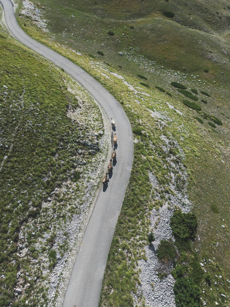 Skadar river