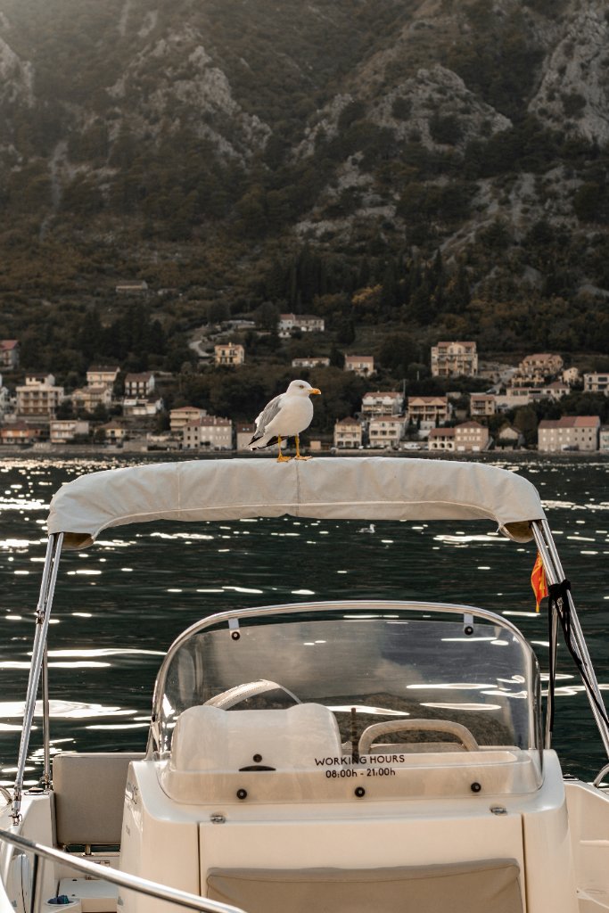 Montenegro flag Kotor