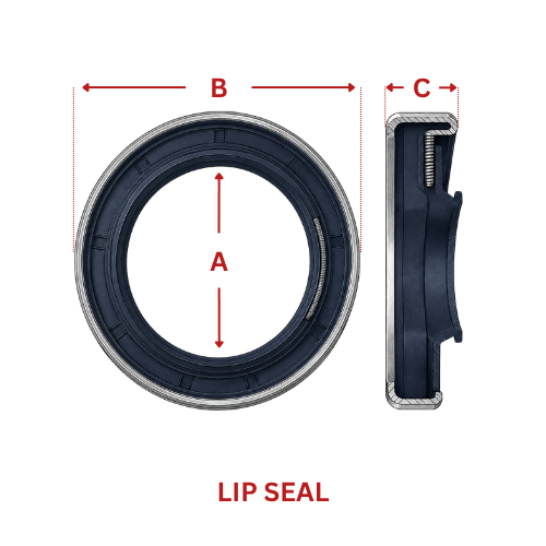 Lip Seal measurement diagram