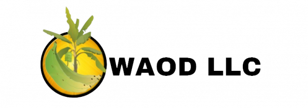 WAOD LLC logo