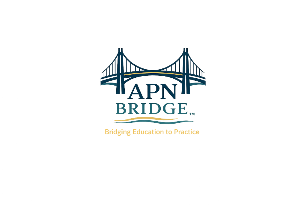 APN Bridge