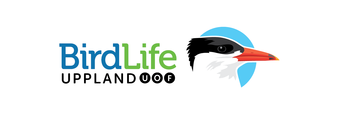BirdLife Uppland