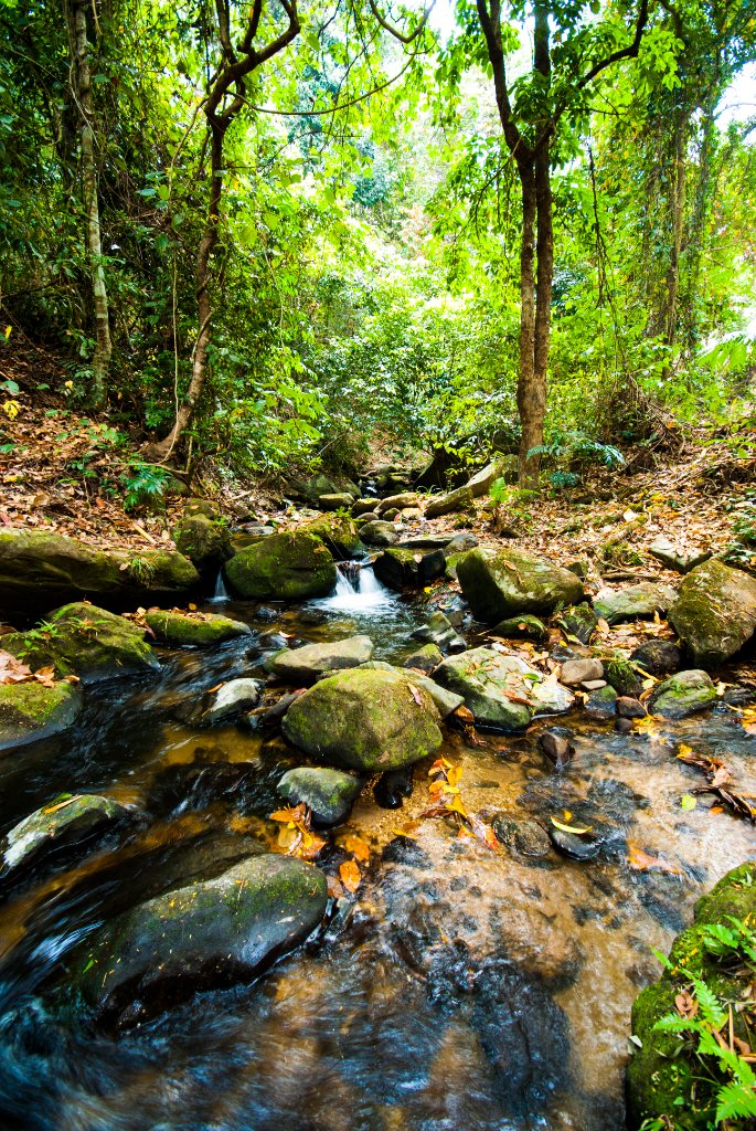 Peaceful mountain state park in Blue Ridge