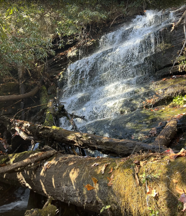 Bee Cove Falls