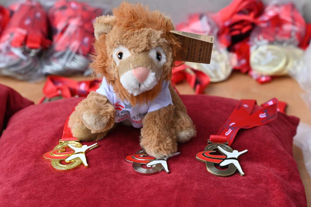 Three athletics medals on red velvet with a lion mascot toy