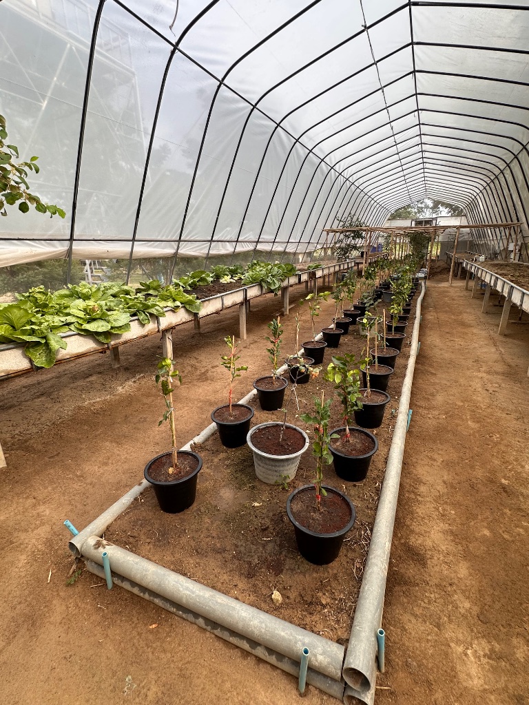 MITB Smart Farm Greenhouse