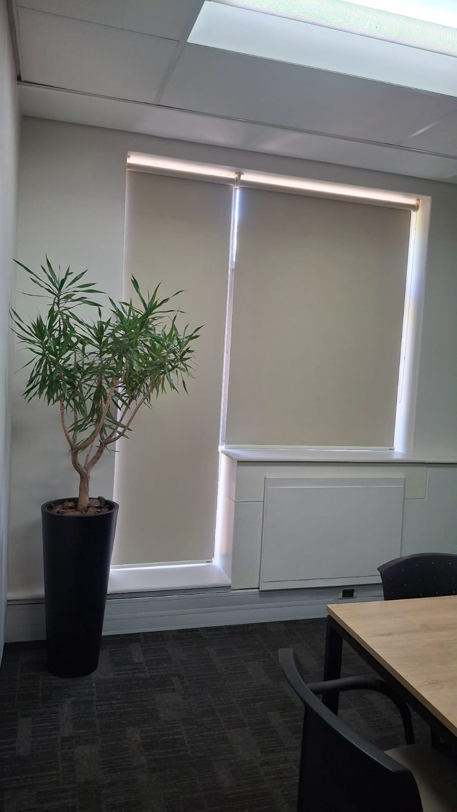 Neutral roller blinds fitted in a Newlands office window by EasyBlinds Cape Town custom window blinds specialists