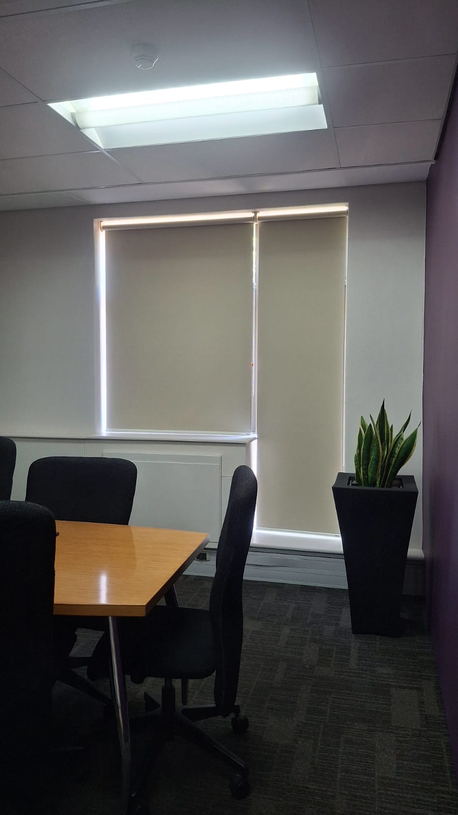 Blockout roller blinds fitted in a Newlands office boardroom by EasyBlinds Cape Town custom window blinds specialists