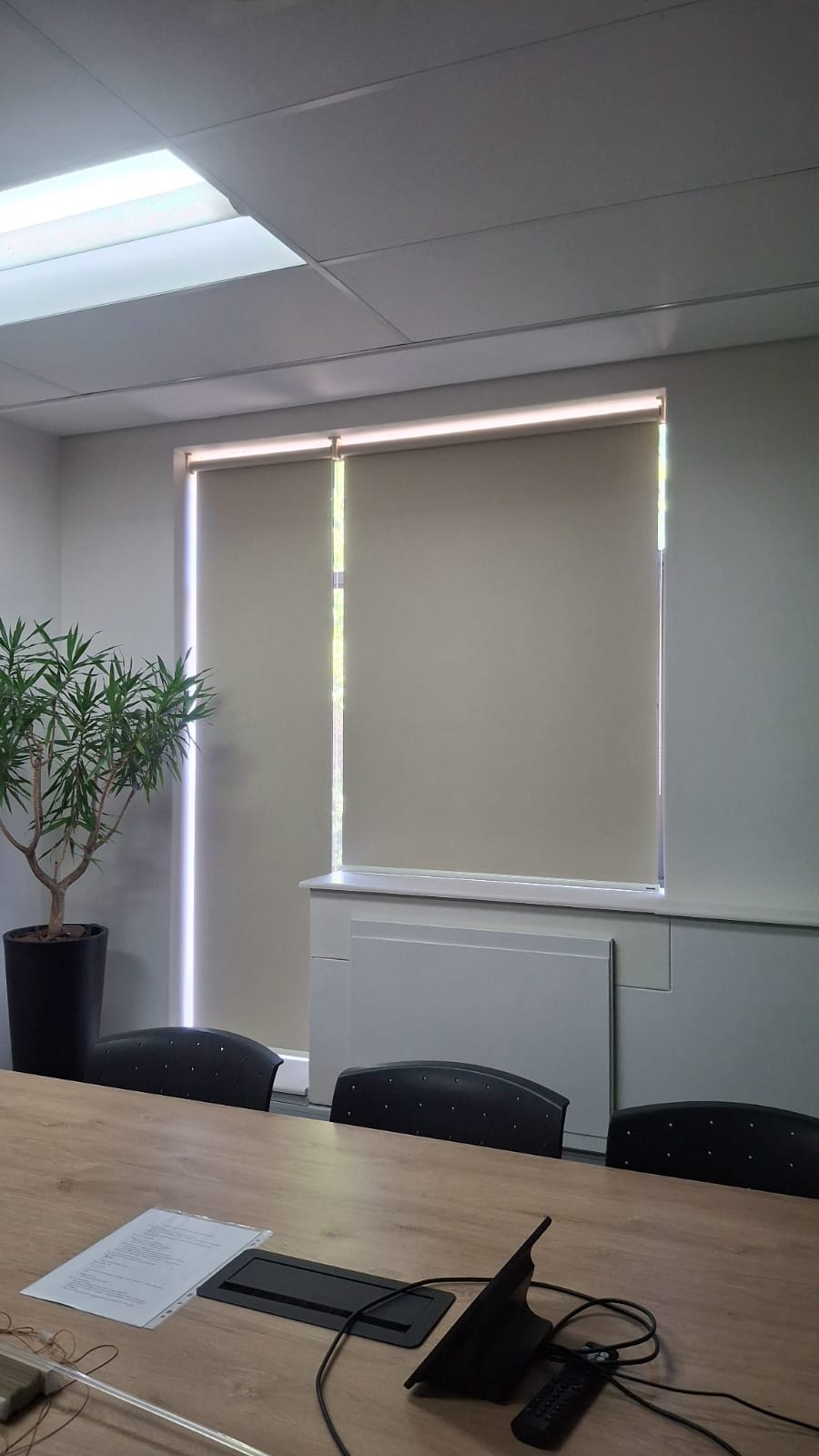 Office roller blinds installed in a Newlands meeting room by EasyBlinds Cape Town custom window blinds specialists