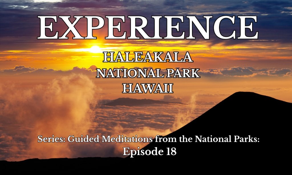 Experience