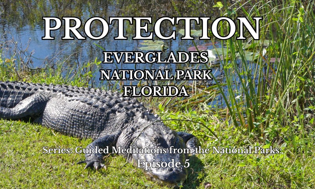 Protection