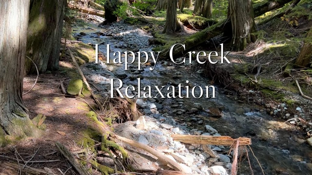 Happy Creek Relaxation