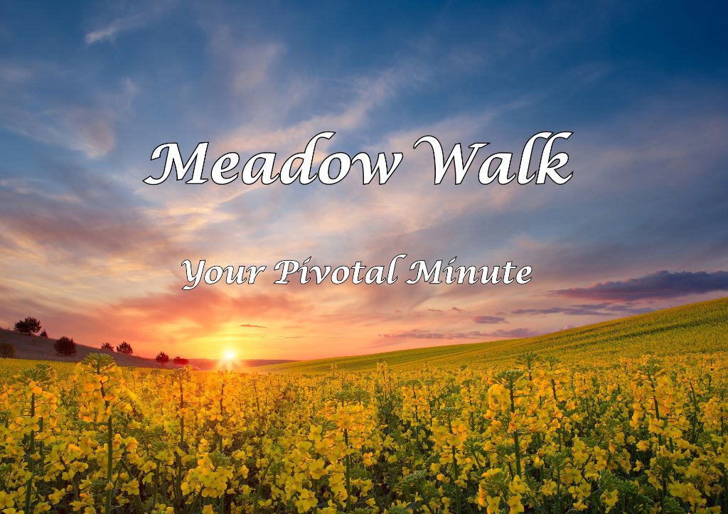 Meadow Walk