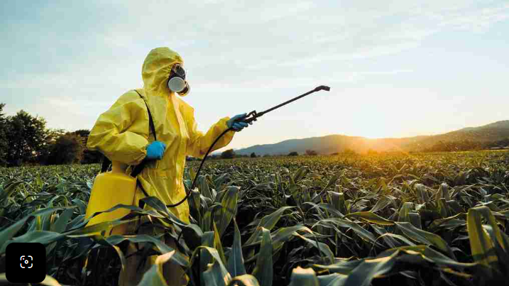 Agricultural and Livestock Insurance: Protecting the Fruits of Effort