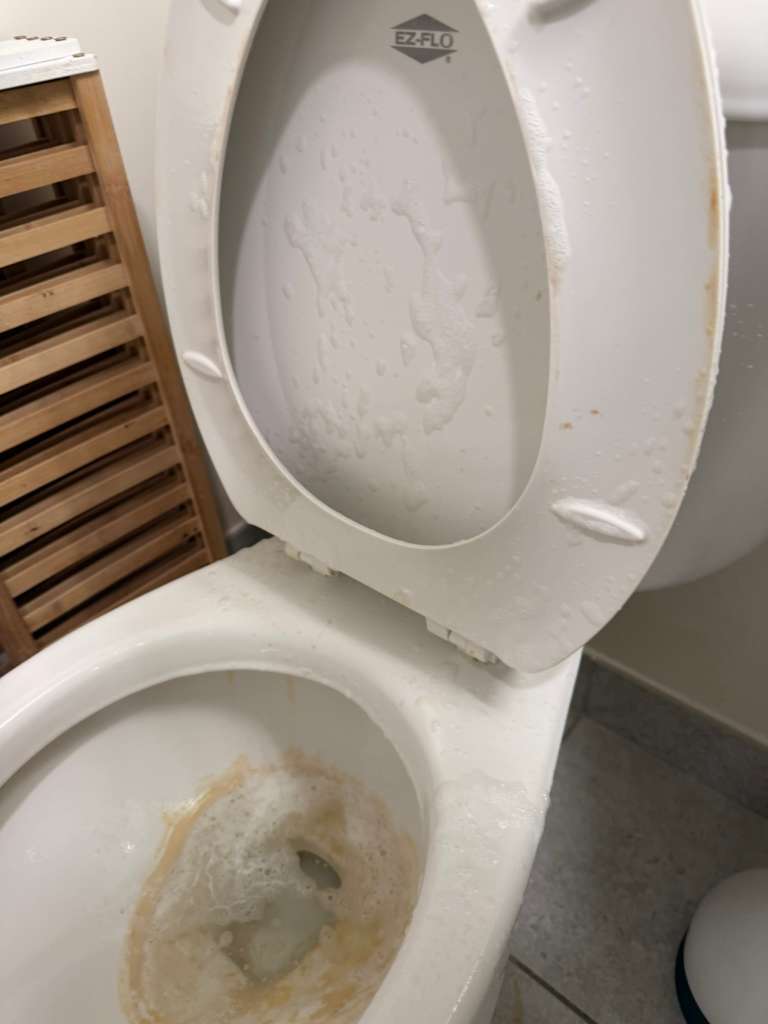 Before cleaning