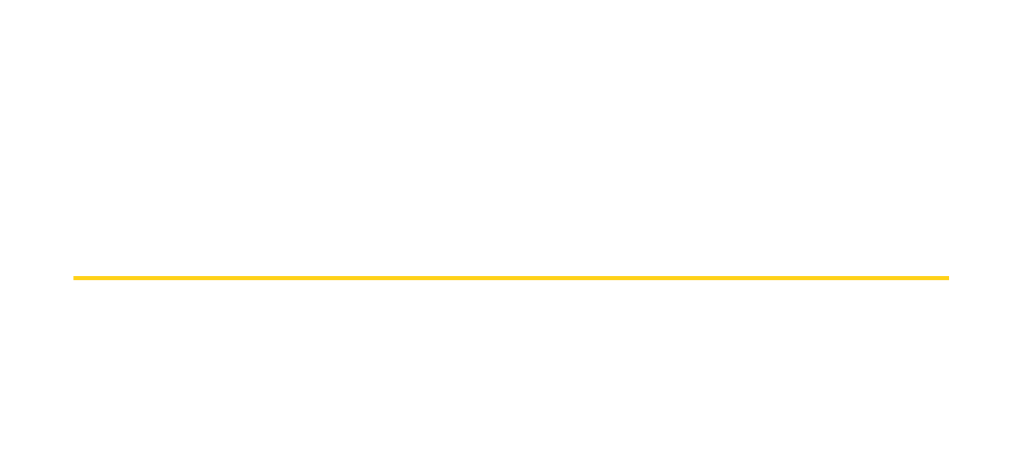 Junk Punks