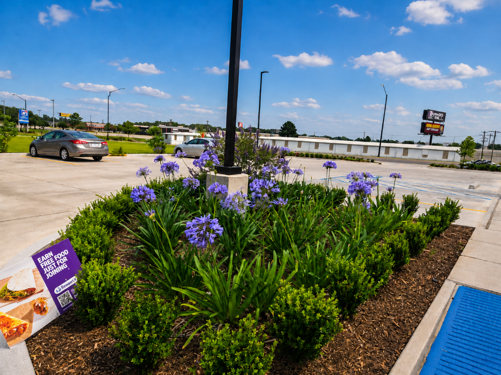 Commercial parking lot landscape bed