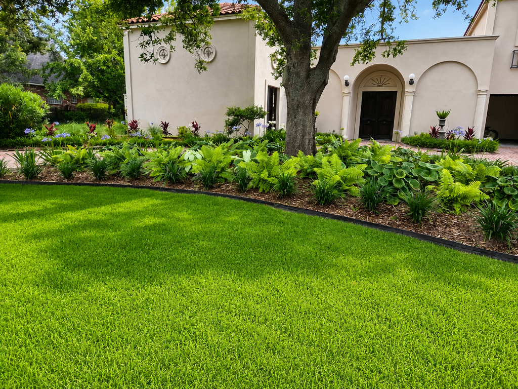 Manicured residential front lawn